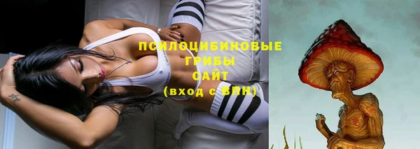 первитин Пестово
