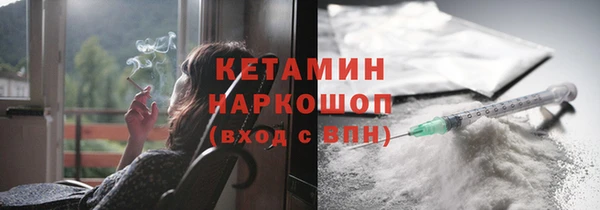 СК Дмитровск