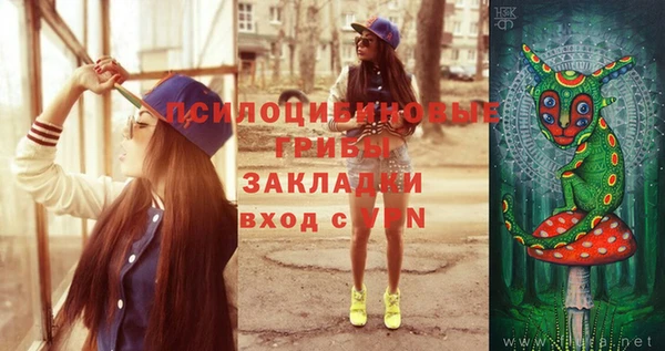 СК Дмитровск