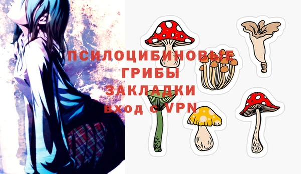 2c-b Дмитров