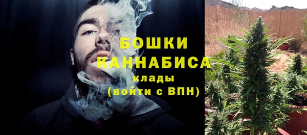 СК Дмитровск