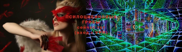 СК Дмитровск