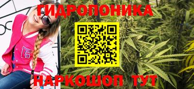 ALPHA PVP Кандалакша