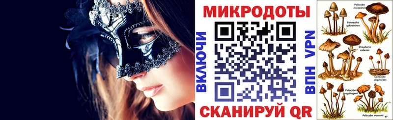 Псилоцибиновые грибы мухоморы Сланцы