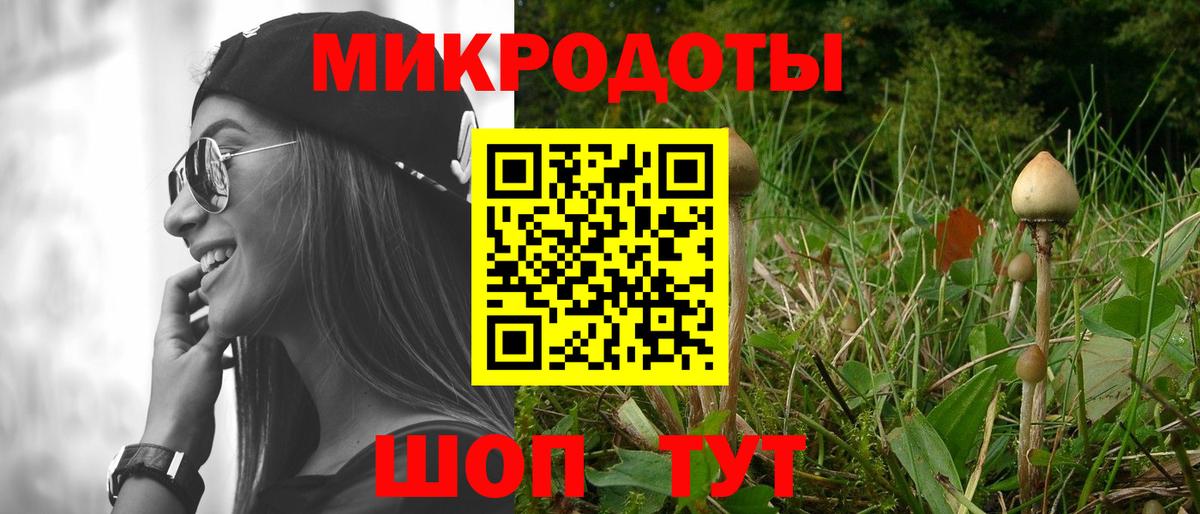 Сланцы  Псилоцибиновые грибы прущие грибы  Вход с VPN 